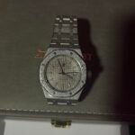 Frosted AP Royal Oak Style Watch