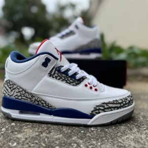 Air Jordan 3 - Image 5