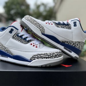 Air Jordan 3 - Image 4