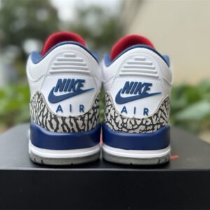 Air Jordan 3 - Image 12