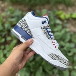 Air Jordan 3 - Image 14