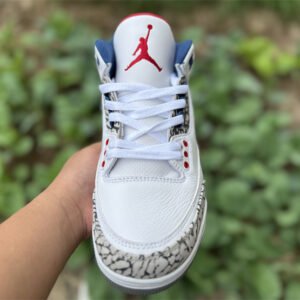 Air Jordan 3 - Image 19
